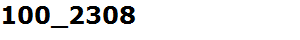 100_2308