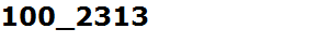 100_2313