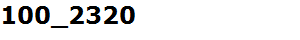 100_2320