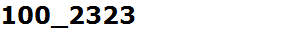 100_2323
