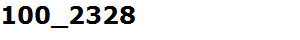100_2328