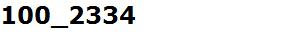 100_2334