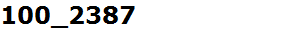 100_2387