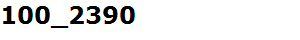 100_2390