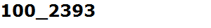 100_2393