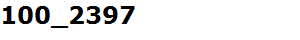 100_2397