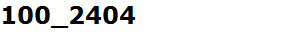 100_2404
