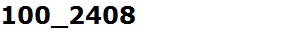 100_2408