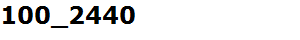 100_2440