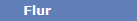 Flur