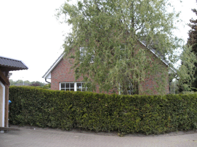 BILD0115