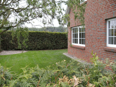 BILD0124